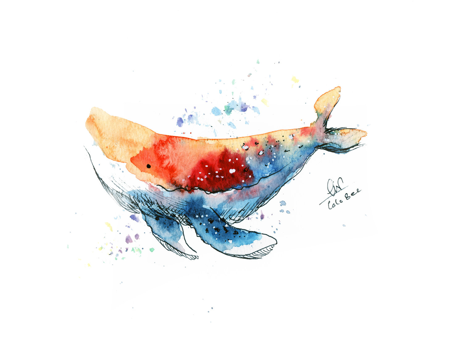 Cute Rainbow Whale Watercolor — Coco Bee